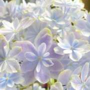 ヒメ日記 2025/07/18 13:58 投稿 ましろ(昭和58年生まれ) 熟年カップル名古屋～生電話からの営み～