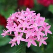 ヒメ日記 2025/07/21 07:16 投稿 ましろ(昭和58年生まれ) 熟年カップル名古屋～生電話からの営み～