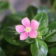 ヒメ日記 2025/08/10 12:46 投稿 ましろ(昭和58年生まれ) 熟年カップル名古屋～生電話からの営み～