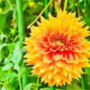 ヒメ日記 2025/08/11 10:02 投稿 ましろ(昭和58年生まれ) 熟年カップル名古屋～生電話からの営み～