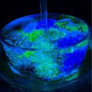 ヒメ日記 2025/08/22 15:59 投稿 ましろ(昭和58年生まれ) 熟年カップル名古屋～生電話からの営み～