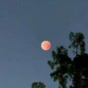 ヒメ日記 2025/09/08 07:34 投稿 ましろ(昭和58年生まれ) 熟年カップル名古屋～生電話からの営み～