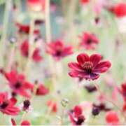 ヒメ日記 2025/09/13 13:19 投稿 ましろ(昭和58年生まれ) 熟年カップル名古屋～生電話からの営み～