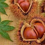 ヒメ日記 2025/09/19 12:39 投稿 ましろ(昭和58年生まれ) 熟年カップル名古屋～生電話からの営み～