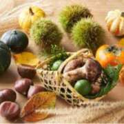 ヒメ日記 2025/10/02 09:54 投稿 ましろ(昭和58年生まれ) 熟年カップル名古屋～生電話からの営み～