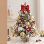 ヒメ日記 2025/12/22 17:29 投稿 ましろ(昭和58年生まれ) 熟年カップル名古屋～生電話からの営み～