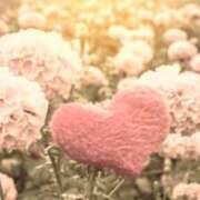 ヒメ日記 2026/01/22 20:53 投稿 ましろ(昭和58年生まれ) 熟年カップル名古屋～生電話からの営み～