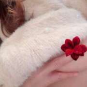 ヒメ日記 2026/01/28 22:11 投稿 ましろ(昭和58年生まれ) 熟年カップル名古屋～生電話からの営み～