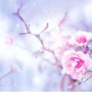 ヒメ日記 2026/02/06 14:46 投稿 ましろ(昭和58年生まれ) 熟年カップル名古屋～生電話からの営み～