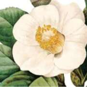 ヒメ日記 2026/02/06 21:14 投稿 ましろ(昭和58年生まれ) 熟年カップル名古屋～生電話からの営み～