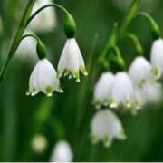 ヒメ日記 2026/02/17 19:47 投稿 ましろ(昭和58年生まれ) 熟年カップル名古屋～生電話からの営み～