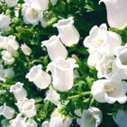 ヒメ日記 2026/02/19 15:02 投稿 ましろ(昭和58年生まれ) 熟年カップル名古屋～生電話からの営み～