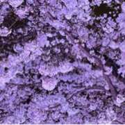 ヒメ日記 2026/03/31 22:34 投稿 ましろ(昭和58年生まれ) 熟年カップル名古屋～生電話からの営み～