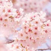 ヒメ日記 2026/04/03 17:37 投稿 ましろ(昭和58年生まれ) 熟年カップル名古屋～生電話からの営み～