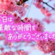 ヒメ日記 2026/04/05 13:57 投稿 ましろ(昭和58年生まれ) 熟年カップル名古屋～生電話からの営み～