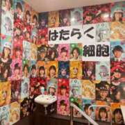 ヒメ日記 2024/12/13 16:59 投稿 神明みさき 大人めシンデレラ 新横浜店（シンデレラグループ）