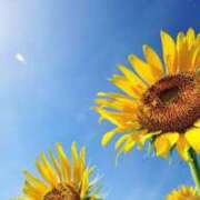 ヒメ日記 2025/08/22 11:09 投稿 神明みさき 大人めシンデレラ 新横浜店（シンデレラグループ）