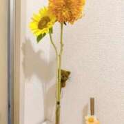 ヒメ日記 2025/09/08 13:24 投稿 神明みさき 大人めシンデレラ 新横浜店（シンデレラグループ）