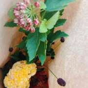 ヒメ日記 2025/09/09 15:49 投稿 神明みさき 大人めシンデレラ 新横浜店（シンデレラグループ）