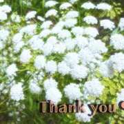 神明みさき ルアン 606?本指名Aさま 大人めシンデレラ 新横浜店（シンデレラグループ）