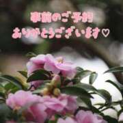 ヒメ日記 2025/12/26 12:27 投稿 神明みさき 大人めシンデレラ 新横浜店（シンデレラグループ）