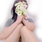 ヒメ日記 2025/07/28 09:30 投稿 そよか 無我（むが）