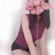 ヒメ日記 2025/09/06 10:02 投稿 そよか 無我（むが）