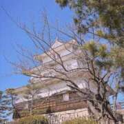 ヒメ日記 2025/03/07 15:57 投稿 七宮なぎ ハプニング痴漢電車or全裸入室