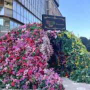 ヒメ日記 2025/03/09 16:30 投稿 七宮なぎ ハプニング痴漢電車or全裸入室