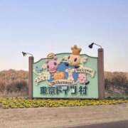 ヒメ日記 2025/03/24 13:30 投稿 七宮なぎ ハプニング痴漢電車or全裸入室