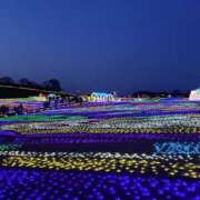 ヒメ日記 2025/03/26 13:23 投稿 七宮なぎ ハプニング痴漢電車or全裸入室