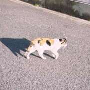 ヒメ日記 2025/04/04 17:47 投稿 七宮なぎ ハプニング痴漢電車or全裸入室