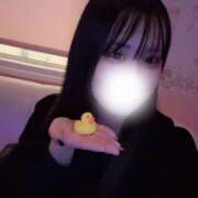 ヒメ日記 2025/02/11 23:35 投稿 しずか ピンクコレクション大阪