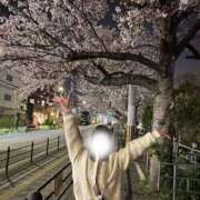 ヒメ日記 2025/04/08 23:03 投稿 しずか ピンクコレクション大阪