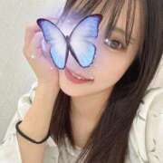 ヒメ日記 2025/12/19 23:51 投稿 しずか ピンクコレクション大阪