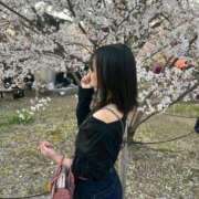 しずか 出勤✩.*˚ ピンクコレクション大阪