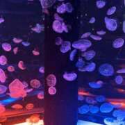 ヒメ日記 2026/02/02 19:39 投稿 しずか ピンクコレクション大阪キタ店