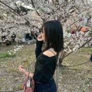 しずか 出勤✩.*˚ ピンクコレクション大阪キタ店