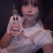 ヒメ日記 2025/04/25 15:29 投稿 すずか ノース -North-