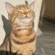 ヒメ日記 2025/05/04 15:02 投稿 すずか ノース -North-