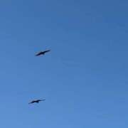 ヒメ日記 2025/05/10 15:42 投稿 すずか ノース -North-