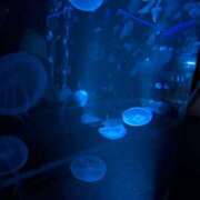 すずか 早めに出勤しました🙋‍♀️ ノース -North-