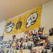 ヒメ日記 2025/01/19 12:08 投稿 いろは 桃李（とうり）