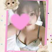 ヒメ日記 2025/01/27 12:38 投稿 いろは 桃李（とうり）