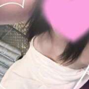 ヒメ日記 2025/01/28 11:54 投稿 いろは 桃李（とうり）