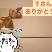 ヒメ日記 2025/02/02 19:04 投稿 いろは 桃李（とうり）