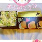 ヒメ日記 2025/03/13 21:15 投稿 いろは 桃李（とうり）