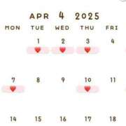 ヒメ日記 2025/03/25 09:54 投稿 いろは 桃李（とうり）