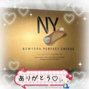 ヒメ日記 2025/04/28 21:44 投稿 いろは 桃李（とうり）