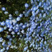 ヒメ日記 2025/05/03 14:04 投稿 いろは 桃李（とうり）